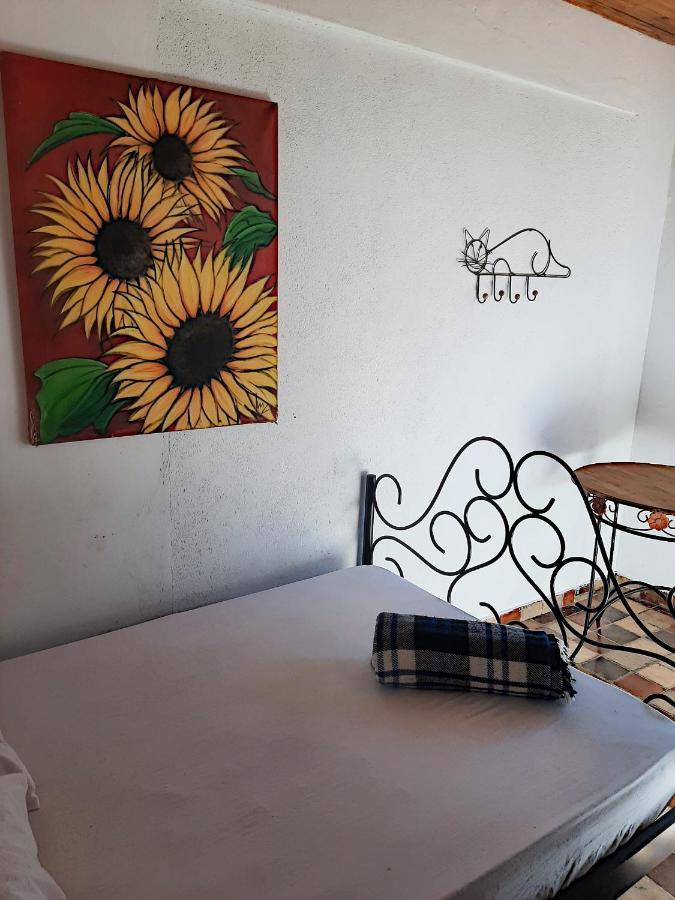 Hospedaria E Hostel Da Deia 欧鲁普雷图 外观 照片